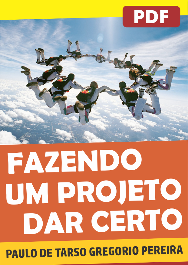 Capa do Livro Fazendo um Projeto dar Certo